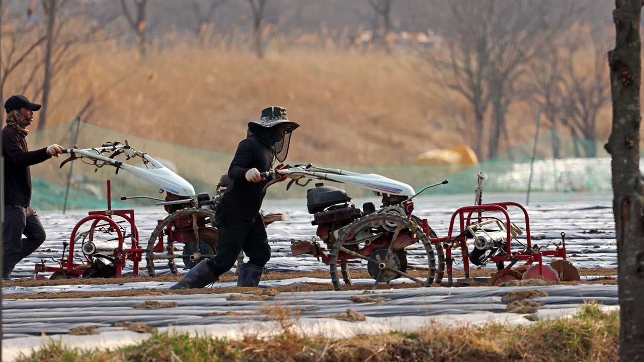 내년 농업 외국인 노동자 역대 최대 10만 2천 명 공급