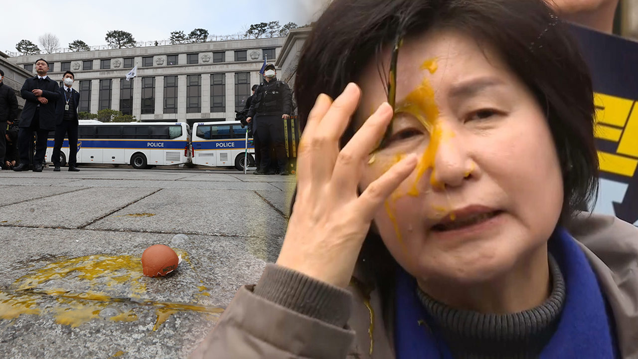 민주당 행안위, '헌재 계란 테러'에 경찰청 항의 방문