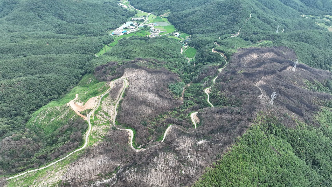 감사원 "산림청, 임도 늘리기에만 집중‥부실시공 방지는 소홀"
