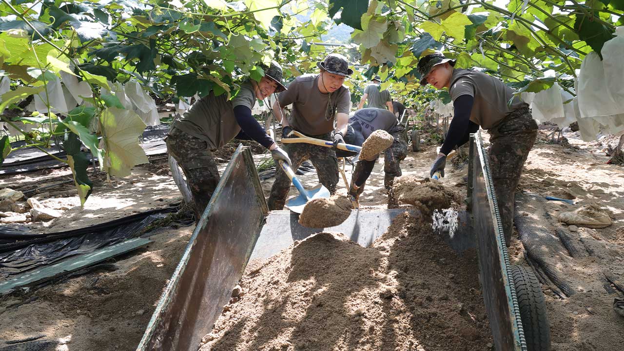 국방부 "수해 복구에 장병 7천여 명·장비 83대 투입"