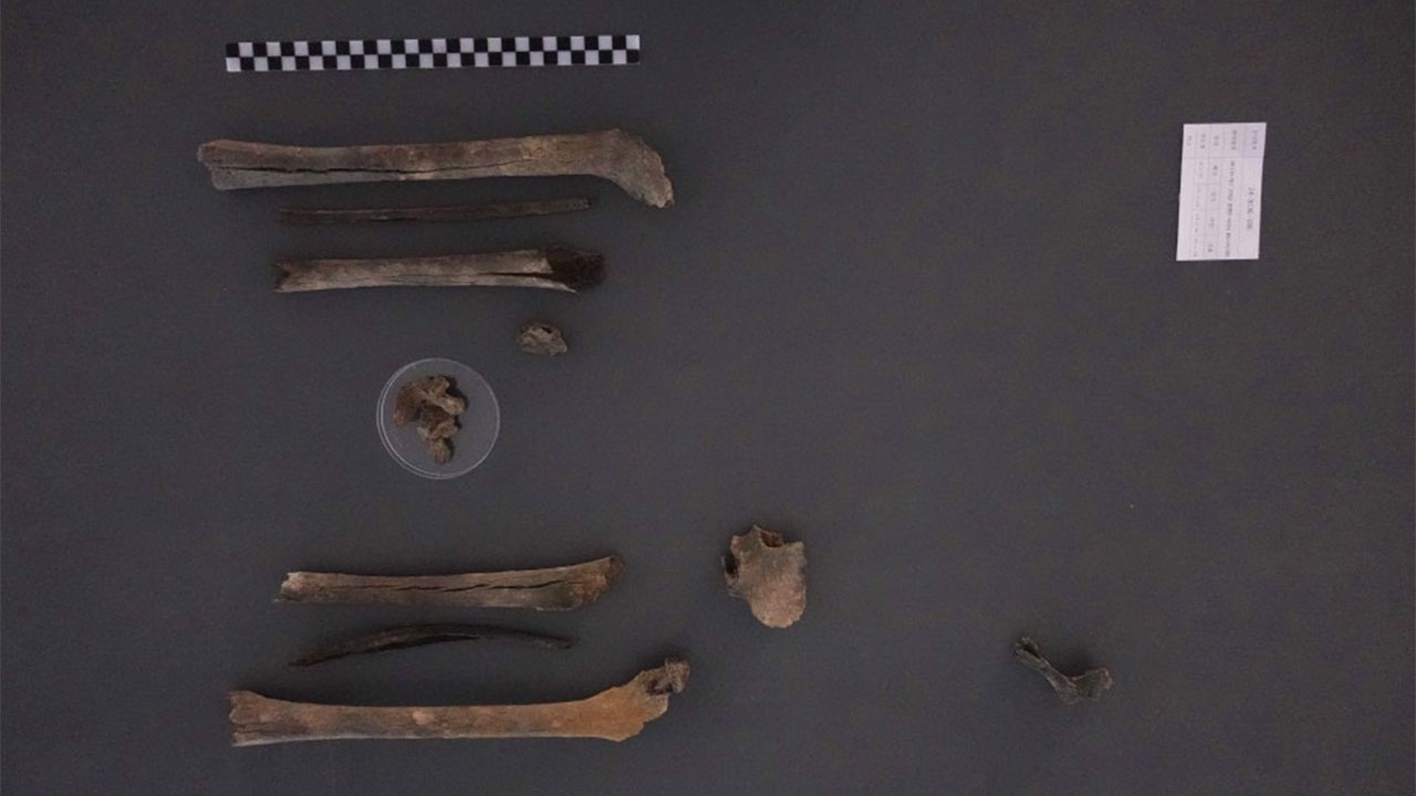 열여덟 나이로 대구 방어하다 전사‥75년만에 유해 찾아