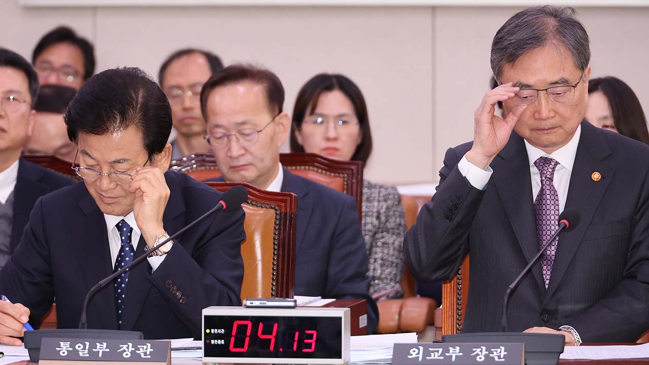 국회 외통위, '여행금지국 방문시 처벌 강화' 여권법 의결