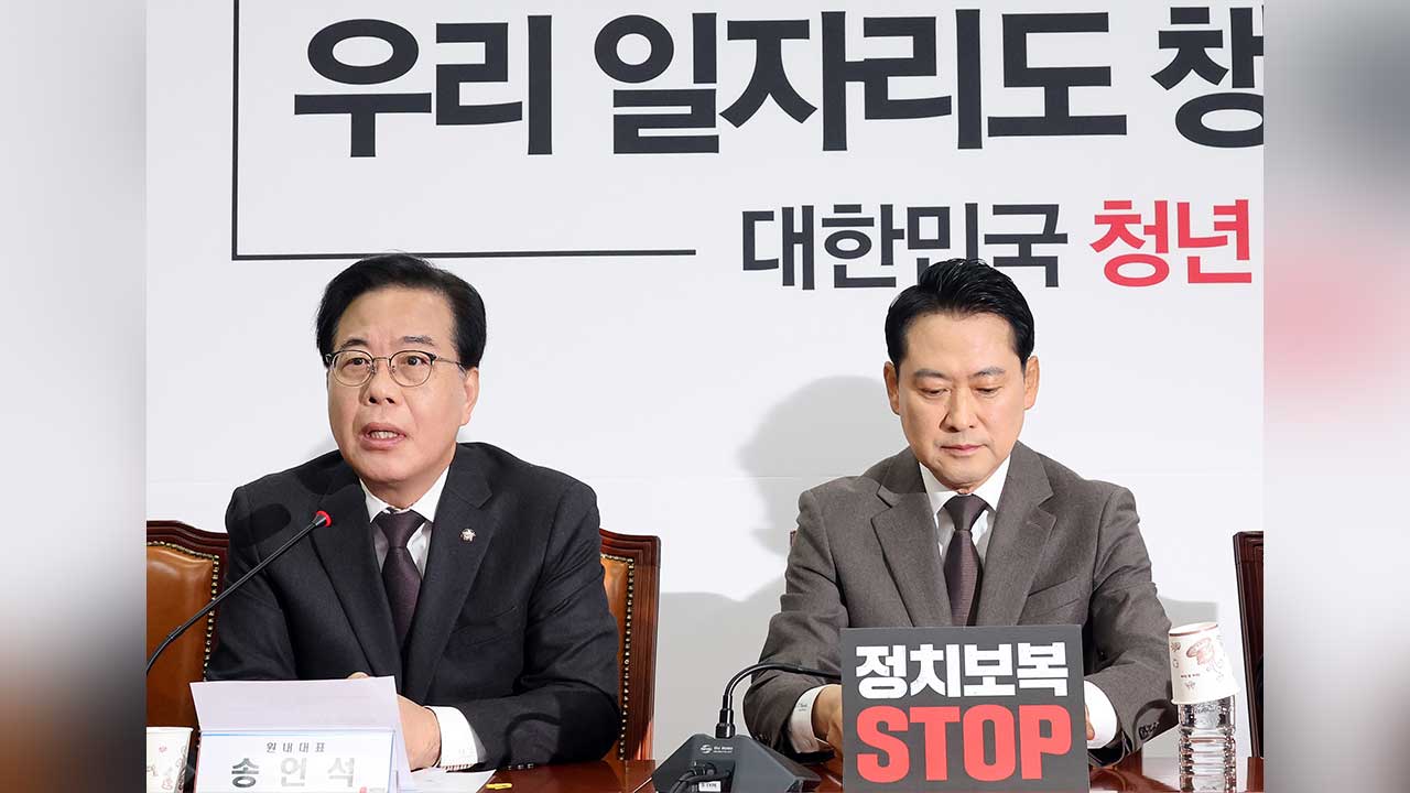 국회 관련 정치 현안 보도 화면