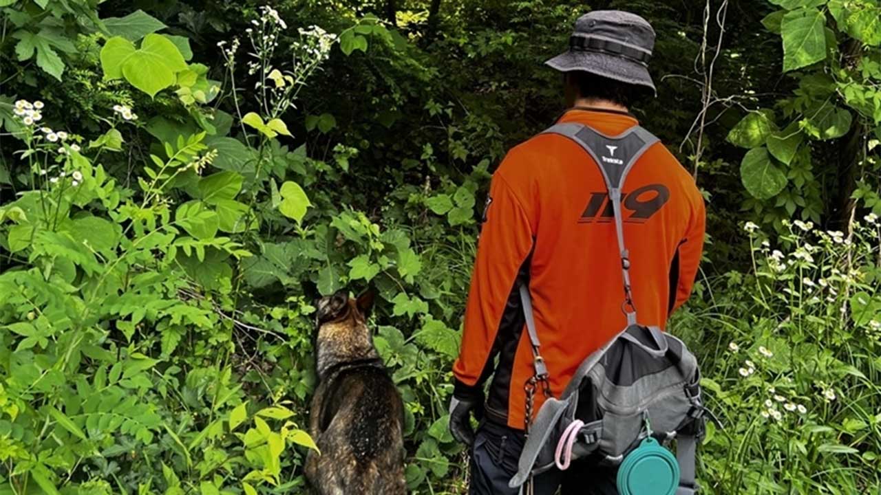 119 구조견, 지난해 재난 현장서 27명 구조