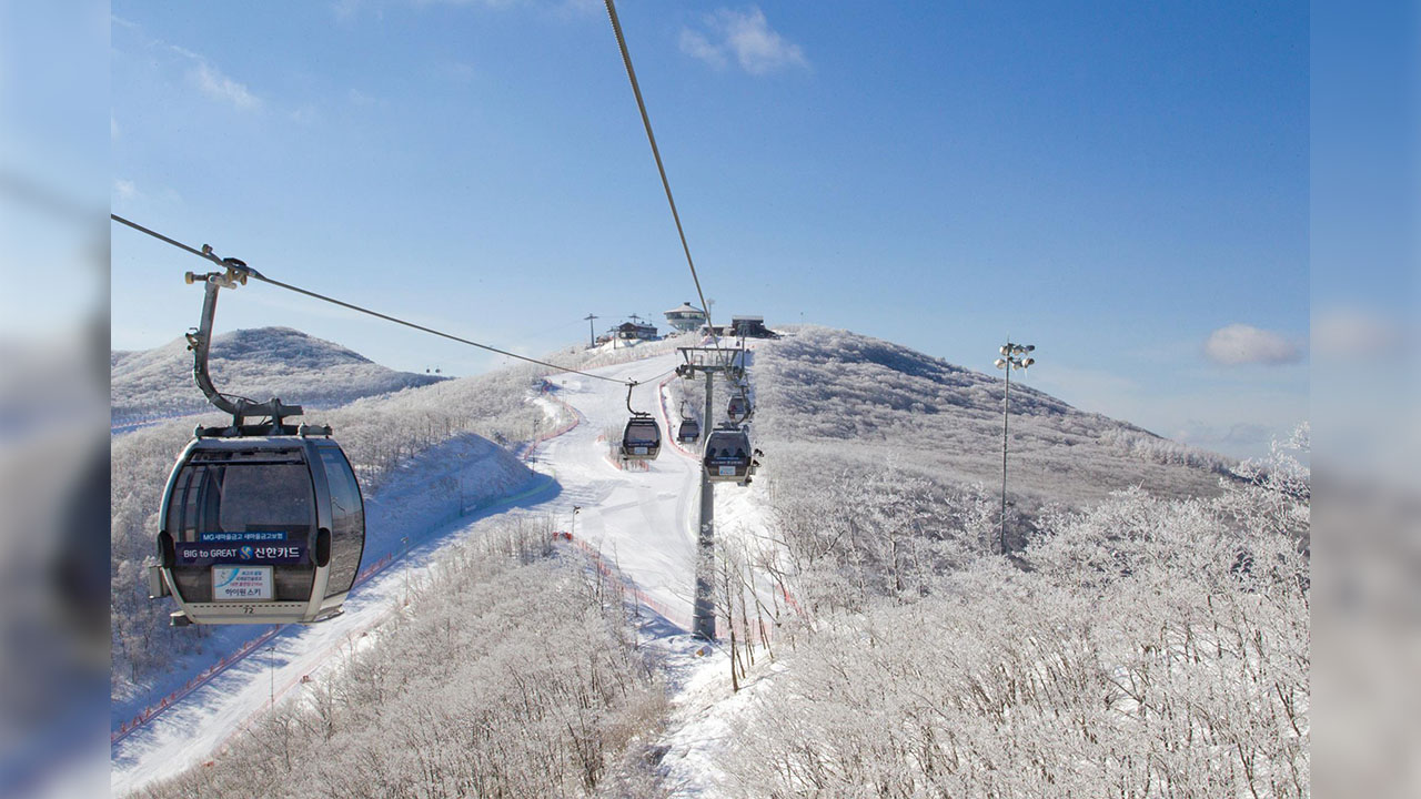 강원 횡성 스키장서 리프트 추락 사고‥30대 남성 부상
