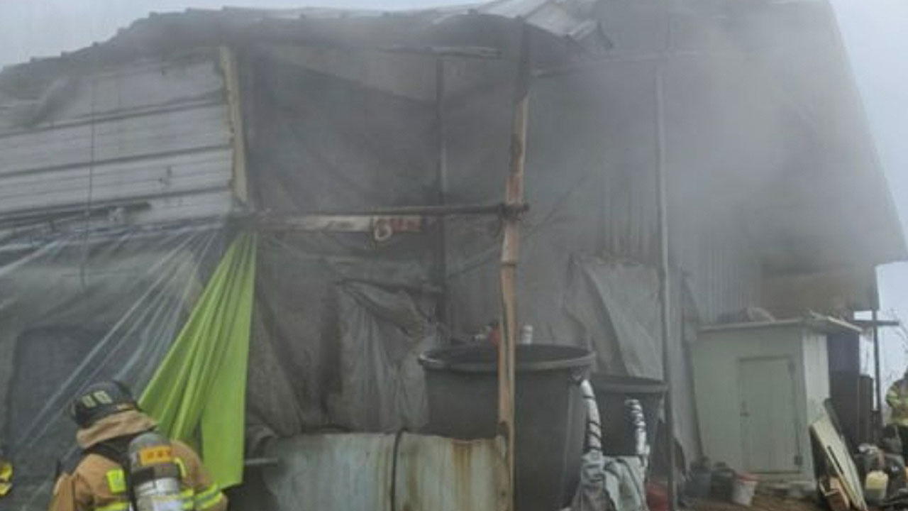 경기 이천 양계장서 불‥닭 8천5백 마리 폐사