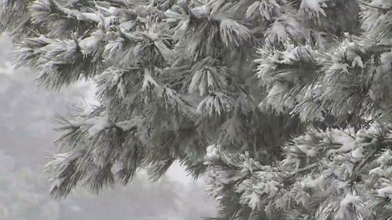 수도권·남부지방 곳곳 대설주의보