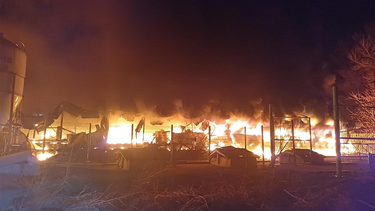 충남 서천서 돈사 화재‥새끼 돼지 1천여 마리 폐사