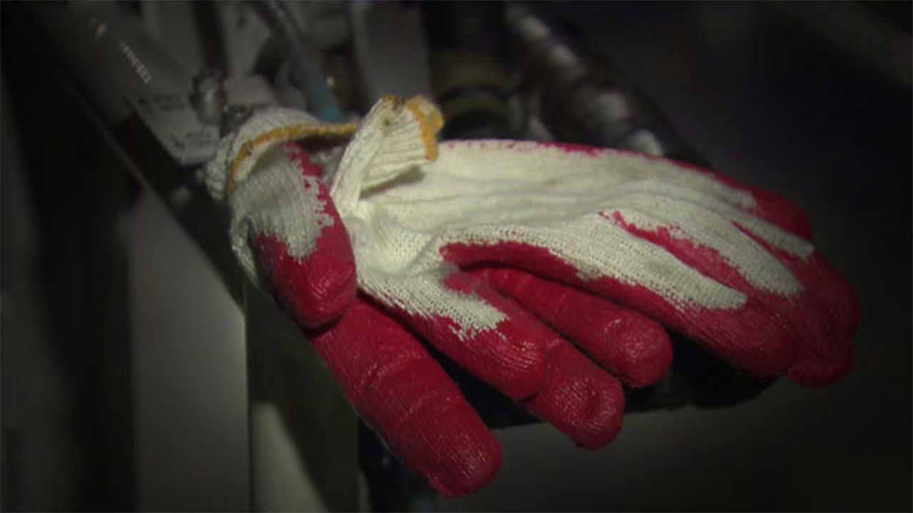 분당 아파트서 가지치기 하던 남성 2명 추락해 중상