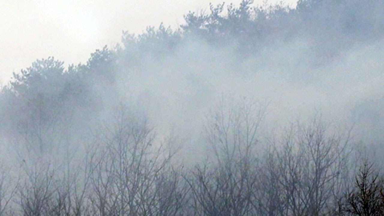 경북 상주 야산에서 불‥다친 사람 없어