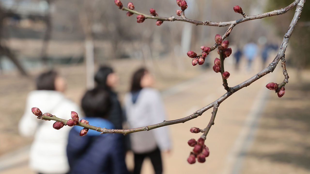 [날씨] 오후부터 기온 올라 포근한 봄날씨..미세먼지 기승 