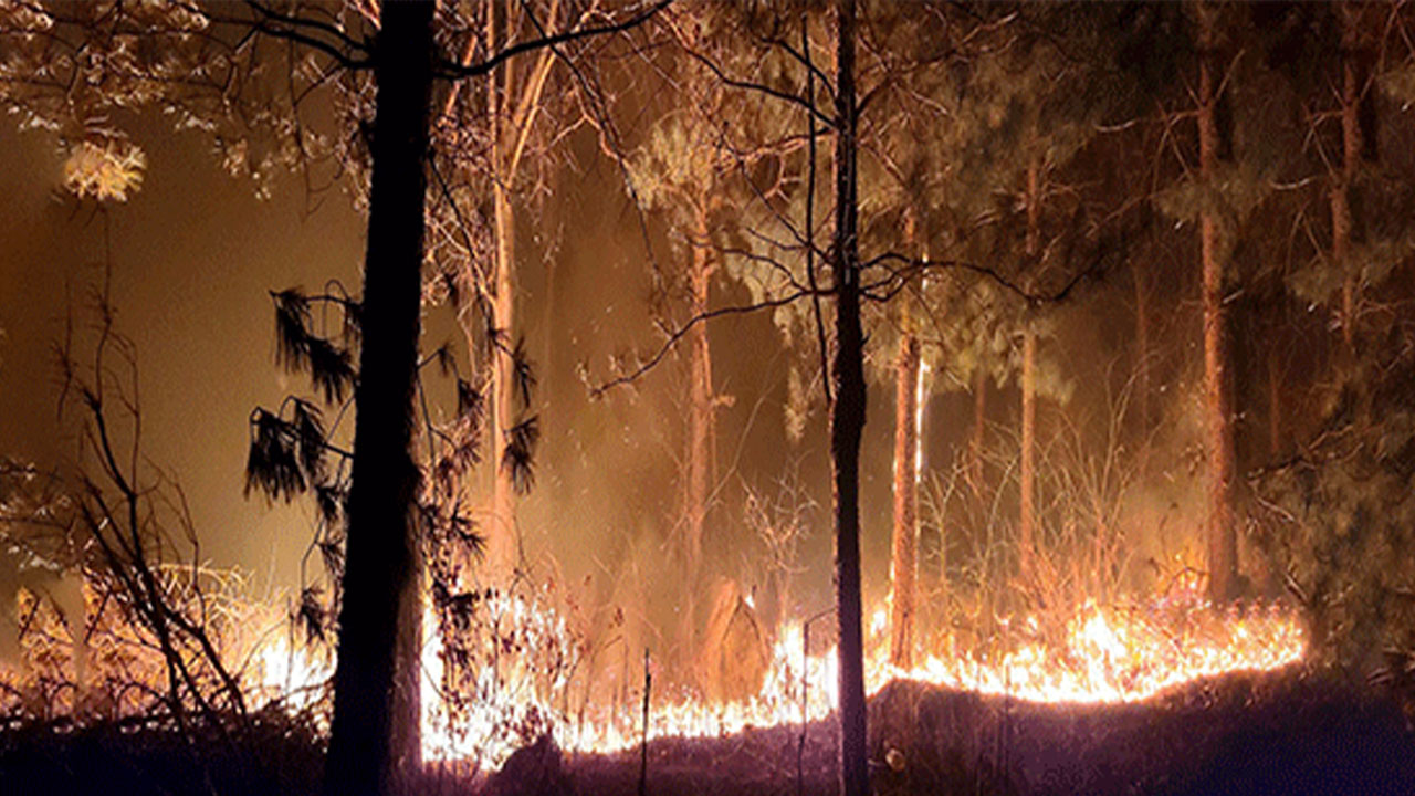 경남 산청군 시천면 산불 대형 산불로 확대‥산불 3단계 발령