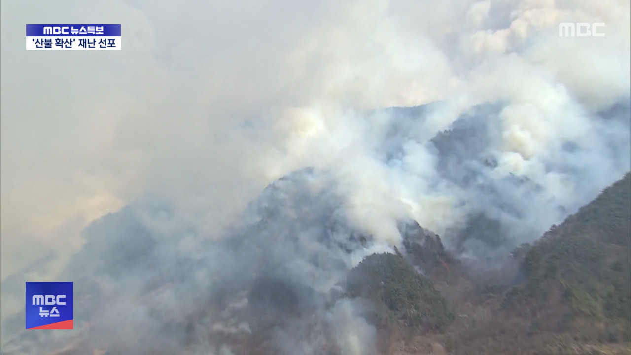 오늘 하루만 31건 산불원인은
