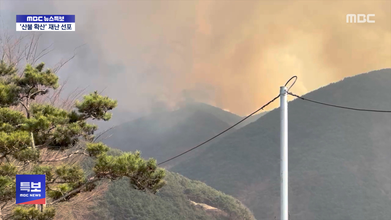 전국 곳곳서 산불 확산정부 재난지역 선포