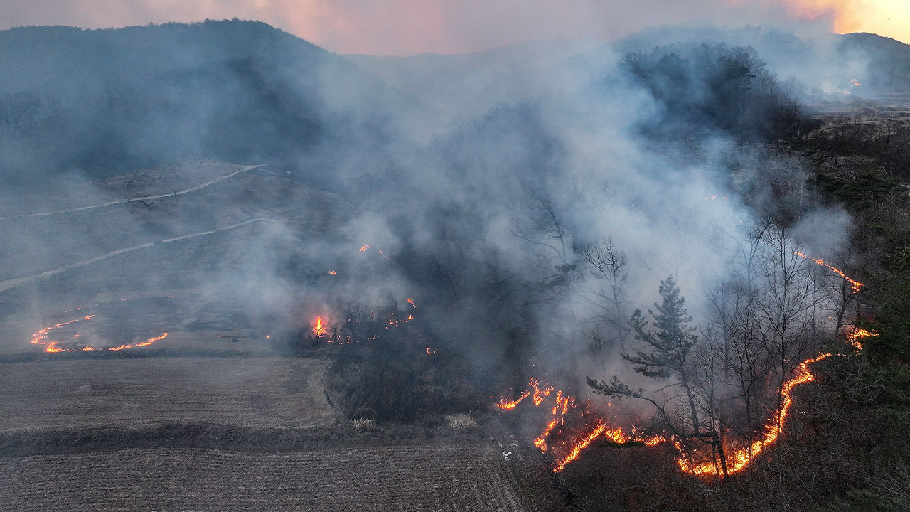 경북 의성 산불 영향 중앙선 고속도로 안동분기점 전면차단