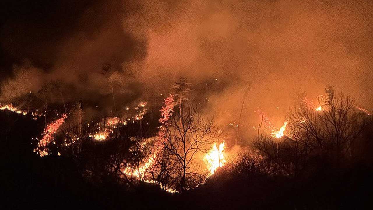 산청 산불 실종자 2명 숨진 채 발견‥사망자 4명으로 늘어