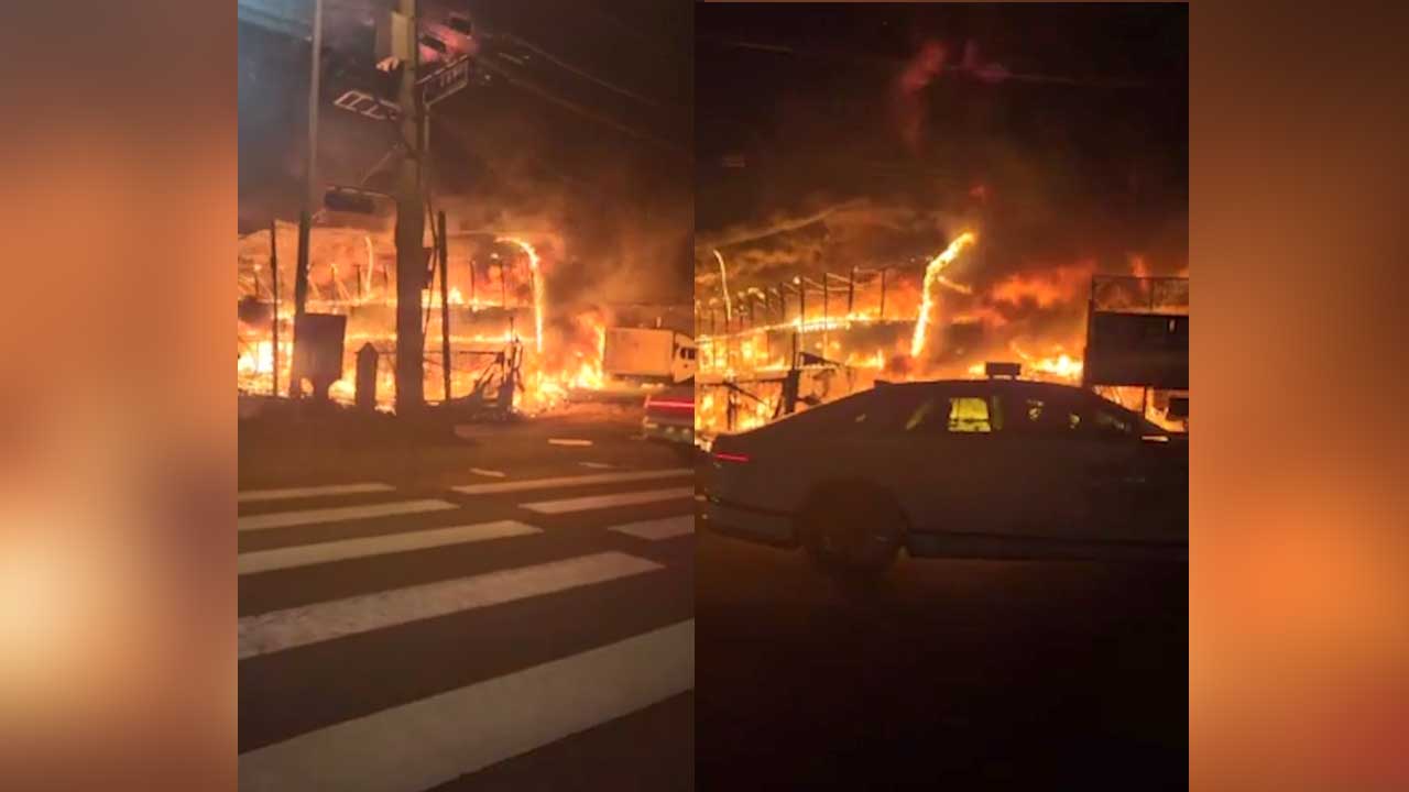 경기 광명 화훼단지서 불‥인명 피해 없어