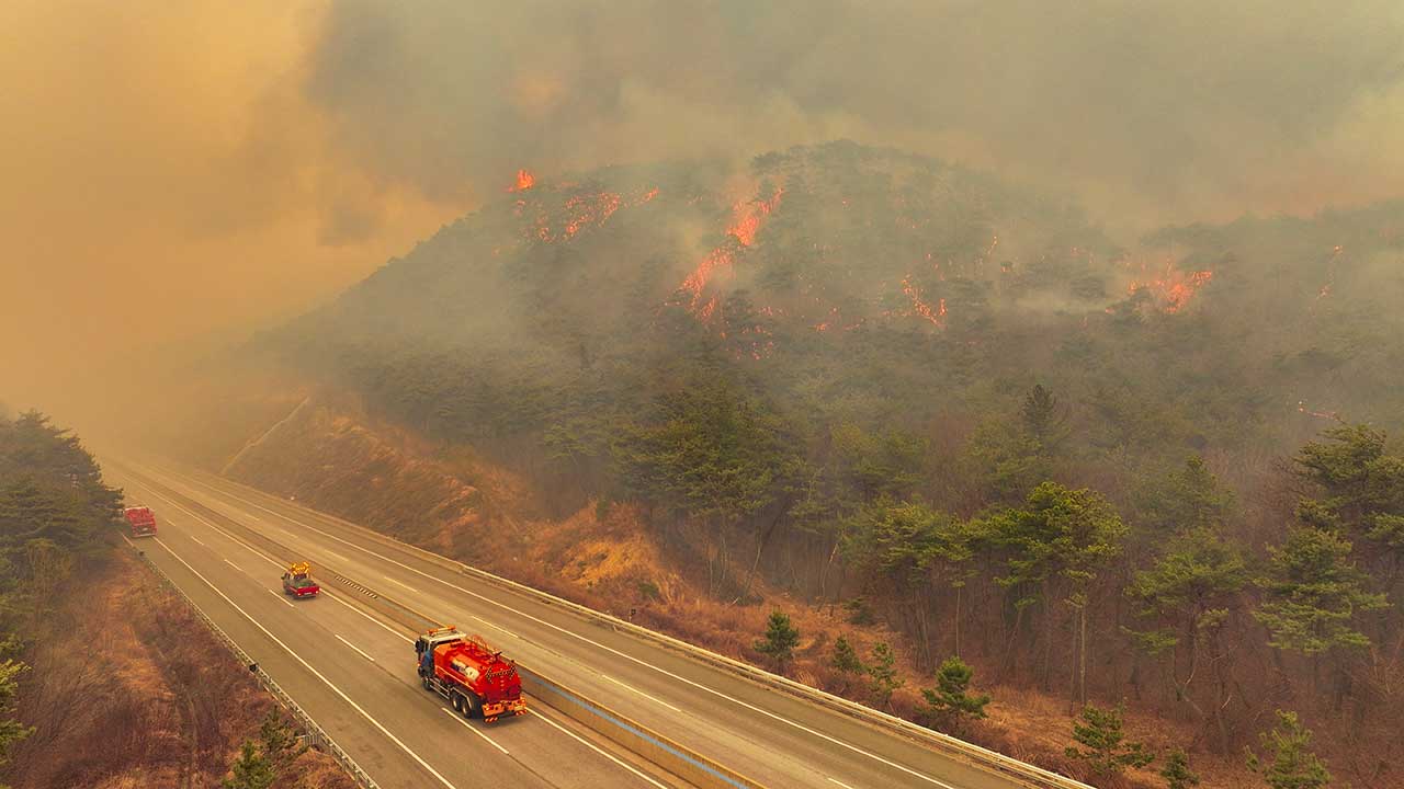 경북 영덕군 하룻밤새 전체 면적의 27% 소실‥모두 6명 사망