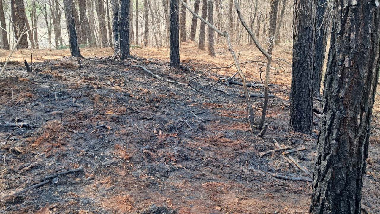경기 용인 기흥구 아람산서 불‥진화 시도하던 50대 화상