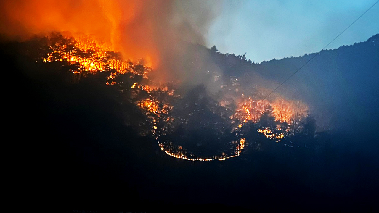 법무부, 안동 산불 확산에 안동교도소 수용자 이송