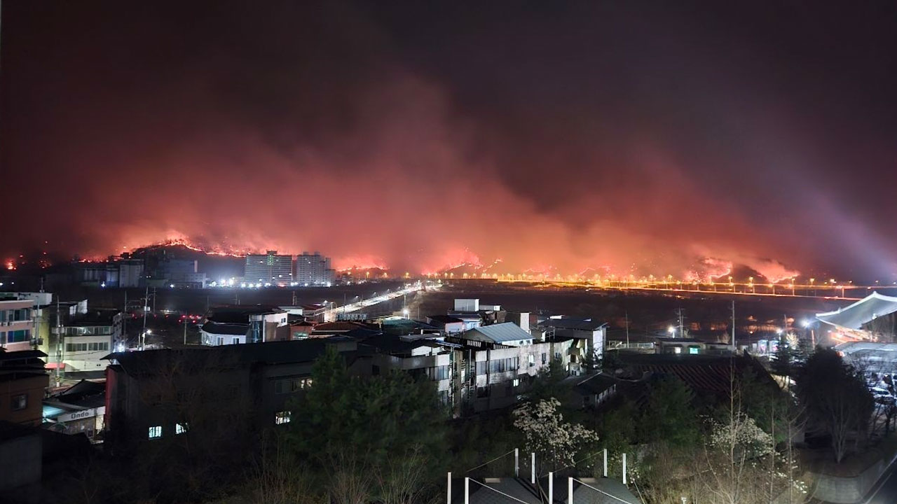 경북 안동에서 50대 여성 숨진 채 발견‥"산불 피해"