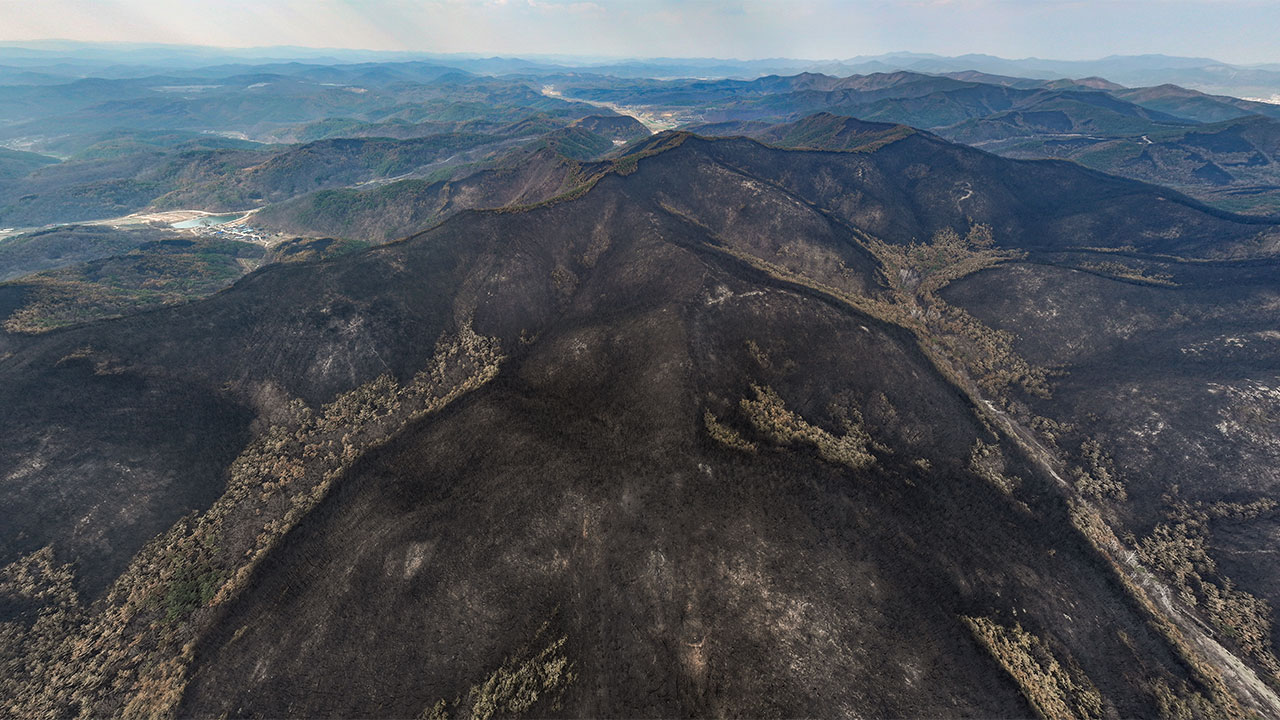 '경북 산불' 149시간 만에 진화‥여의도 156개 면적 잿더미