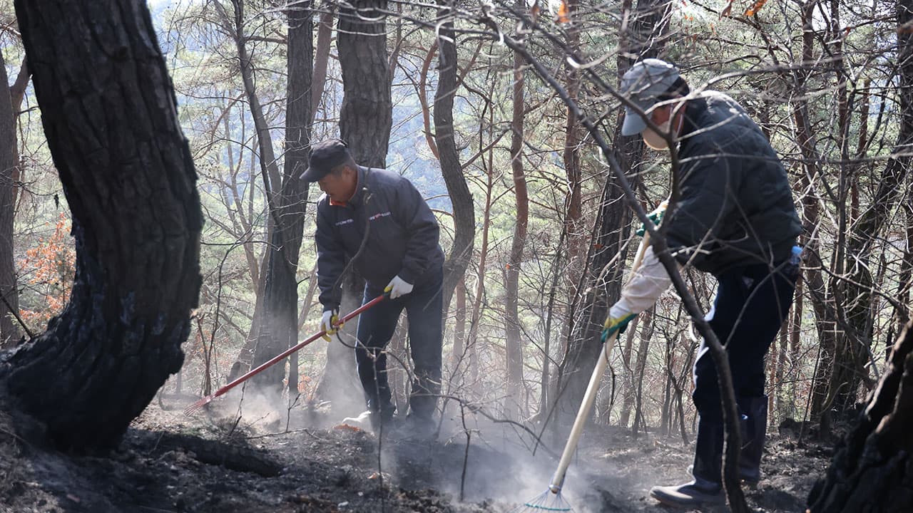 산불 예방 위해 팔공산 등 7개 국립공원 탐방로 추가 통제