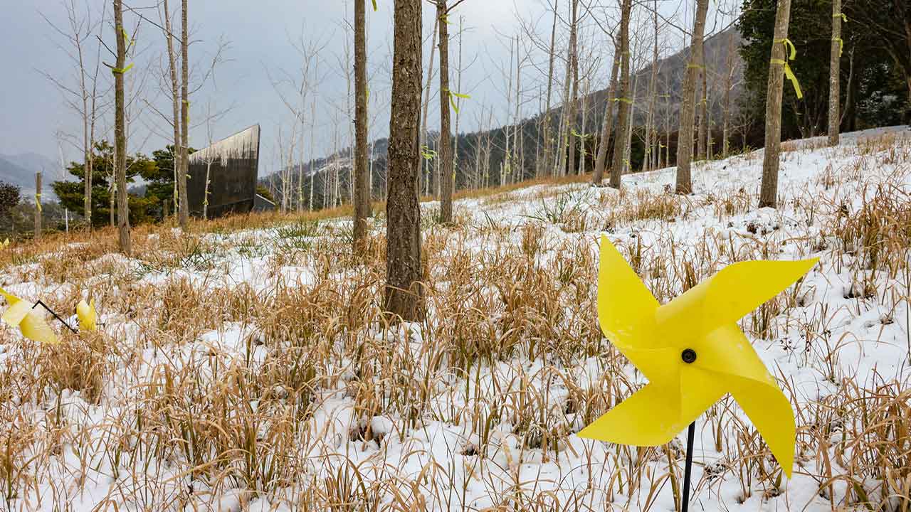 세월호 11주기‥유족들, 팽목항-기억의 숲 순례 