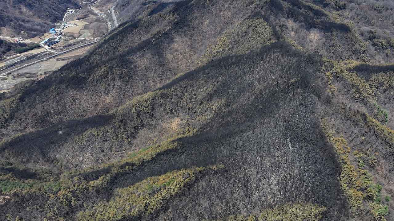 중대본 "울산·경북·경남 산불 주불 모두 진화‥역대 최대 피해"