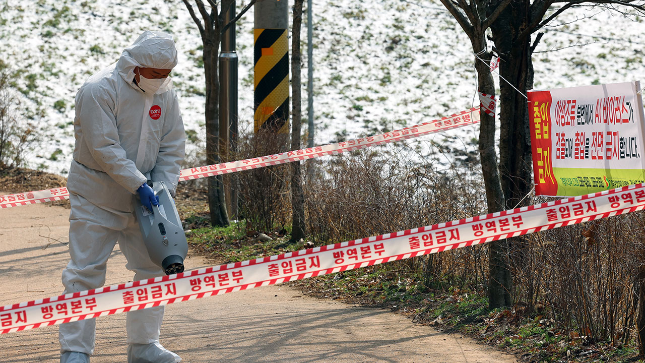 방역당국 "'야생 삵 AI 확진' 인체 감염 없어‥모니터링 종료"