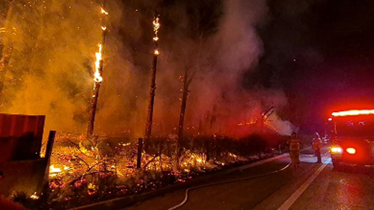 논산천안고속도로 인근 담뱃불 추정 화재‥인명피해 없어