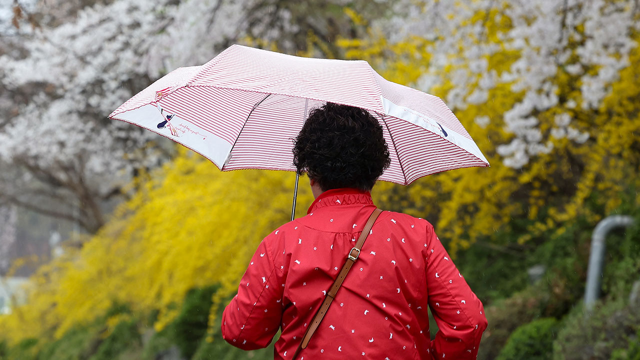 [날씨] 식목일 전국 대체로 흐리고 비‥최대 20mm 예보