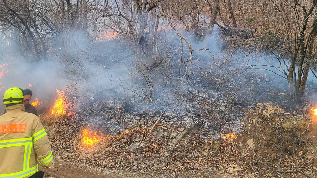 강원 영월서 산불‥40분 만에 큰불 잡혀