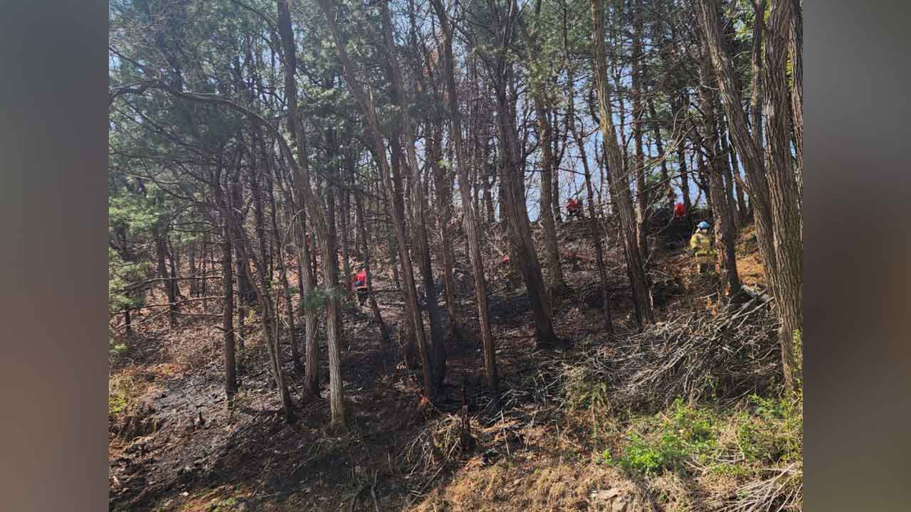 경기 포천시 영중면 성동리 야산서 불‥1653㎡ 소실