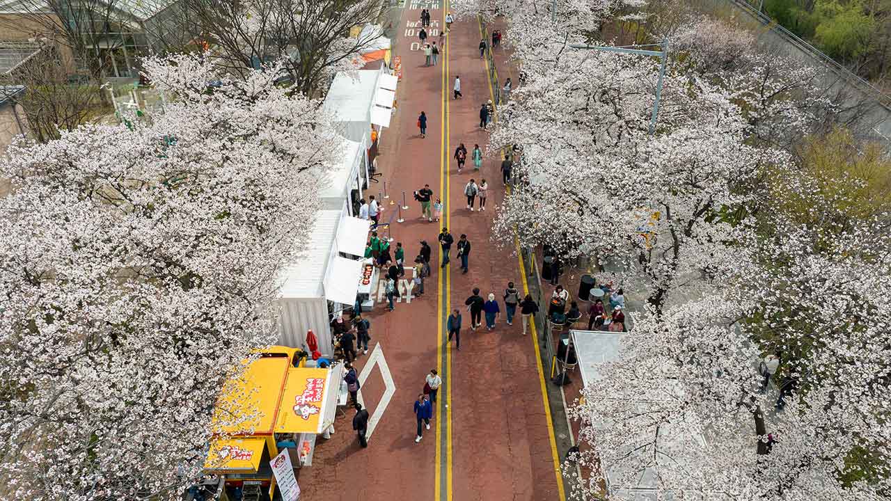 [단독] 여의도 봄꽃축제서 입간판 넘어져 관광객 1명 부상