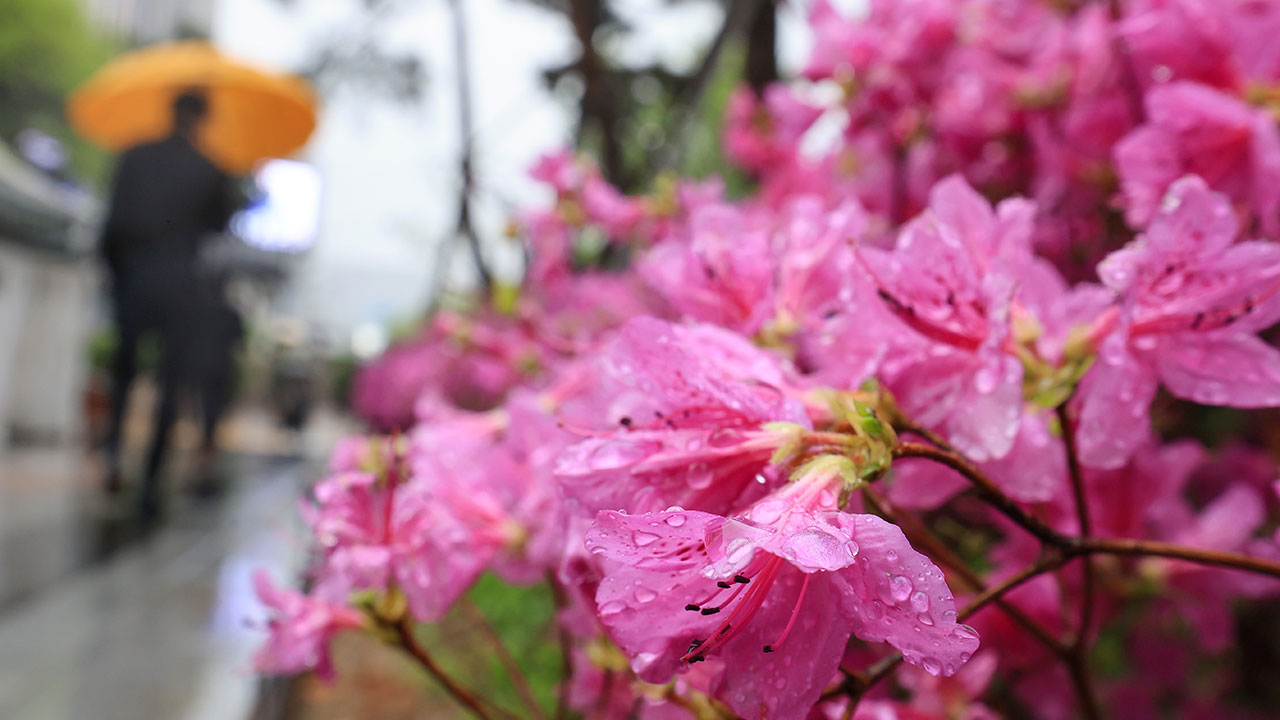 [날씨] 강풍과 함께 비‥제주에서 시작해 전국 확대