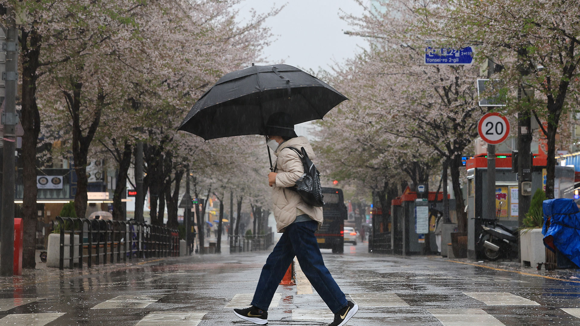 [날씨] 주말 흐리고 봄비‥수도권에서 시작해 전국 확대