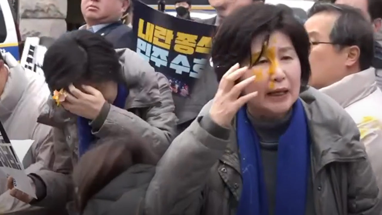 경찰, '백혜련 의원에 계란 투척' 피의자 소환 조사