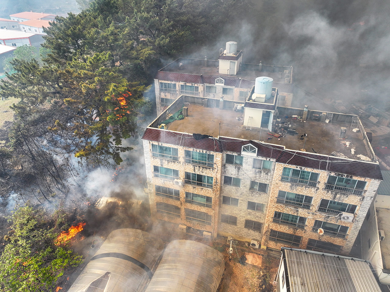 대구 함지산 불 확산‥주민 1천2백여 명 대피