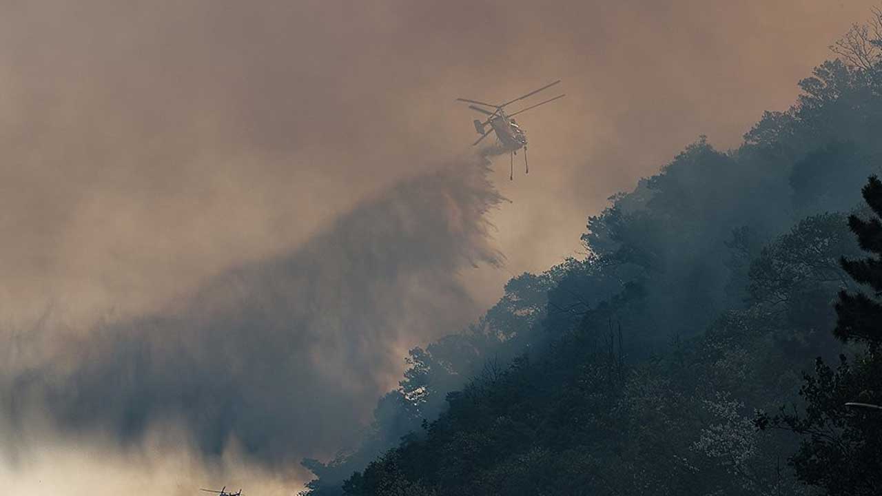 '재발화' 대구 함지산 야간 진화 돌입‥"민가 확산 저지 총력"