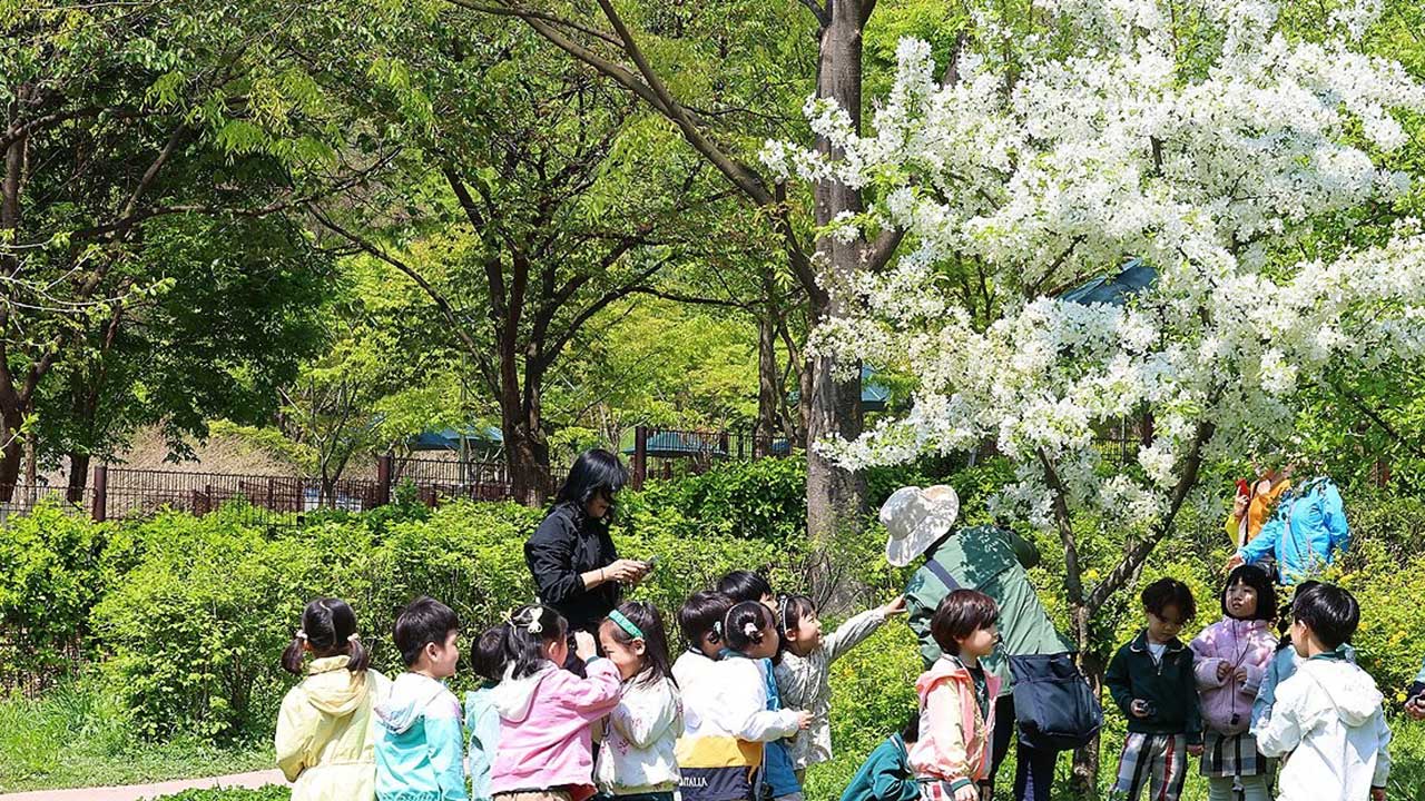 어린이 안전사고 5월 최다‥낙상·추락 '주의'