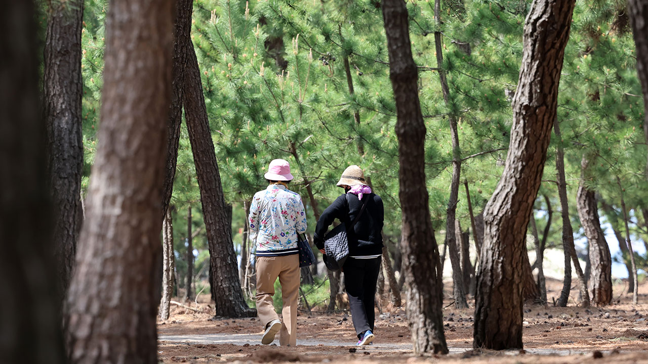 [날씨] 노동자의날, 전국 흐리고 비‥낮 최고 16~25도