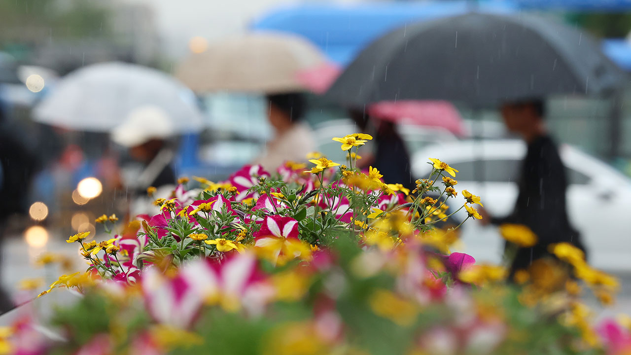 [날씨] 전국 대체로 흐리고 가끔 비‥'황사비' 영향 주의