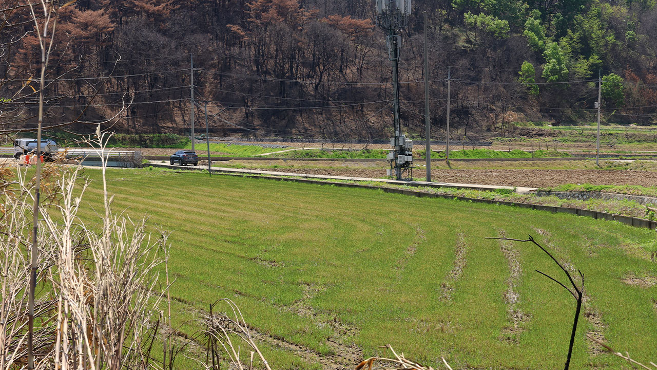 '특약' 해석 두고 다툼‥대법 "예상 달라졌더라도 계약대로 이행해야"