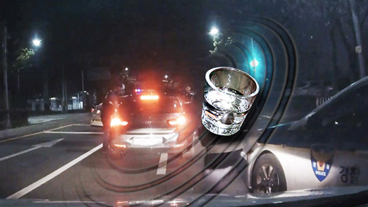 "처벌 무서워서" 음주단속 경찰관 치고 도주한 40대 남성 검거