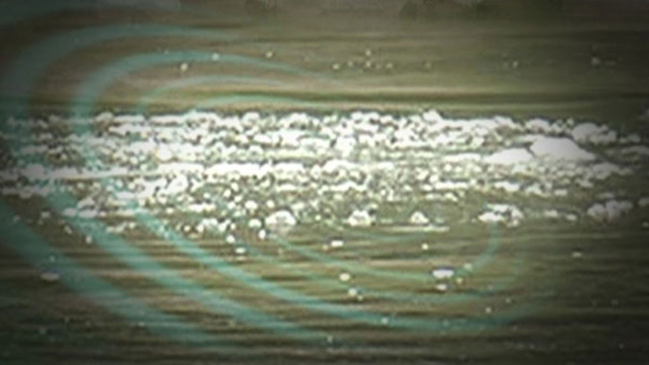 강원 속초 동명항 방파제 인근서 미역 채취하던 70대 숨져