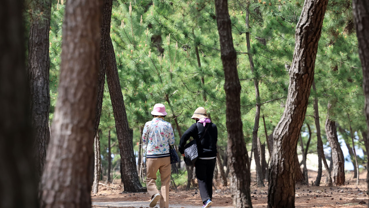 [날씨] 내륙 낮 25도 이상‥일교차 커 주의