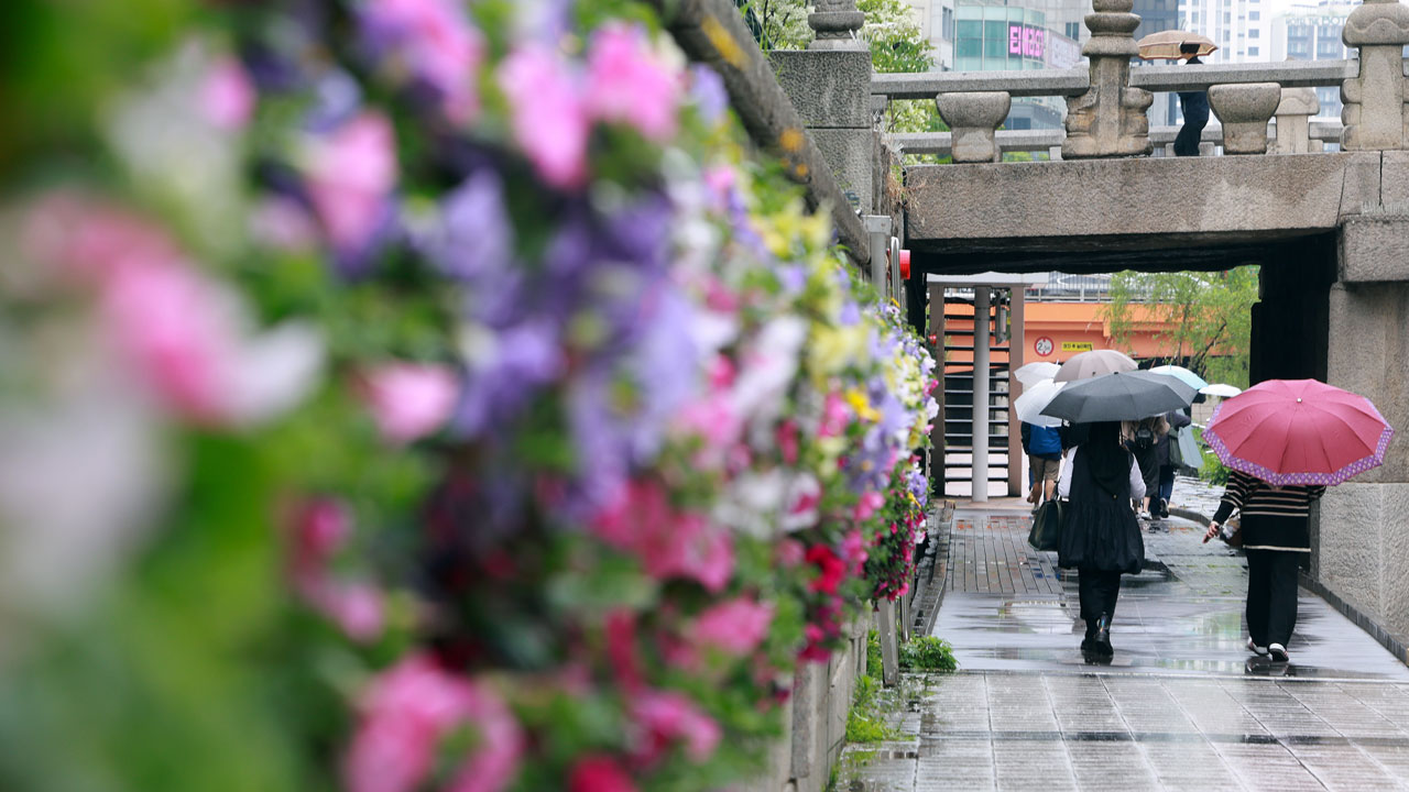 [날씨] 대부분 지역 오후까지 비‥ 초여름 더위 주춤