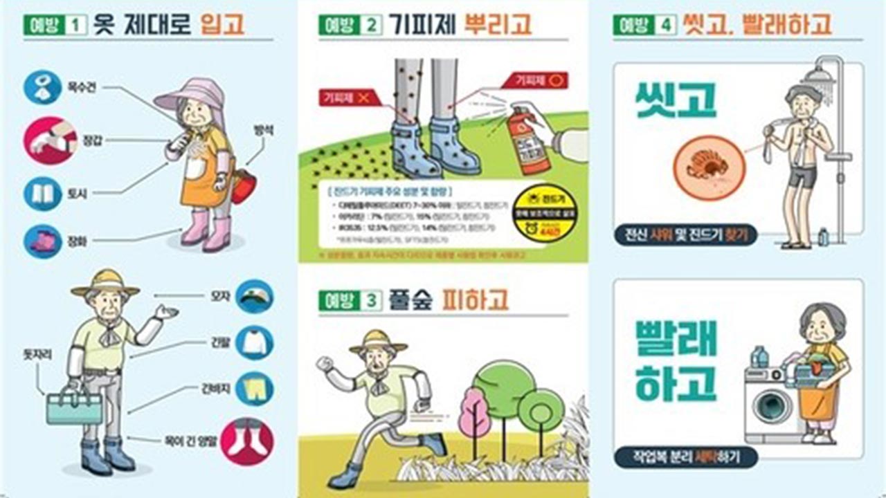 울산서 4년 만에 SFTS 사망자 발생‥"야외활동 시 진드기 주의"