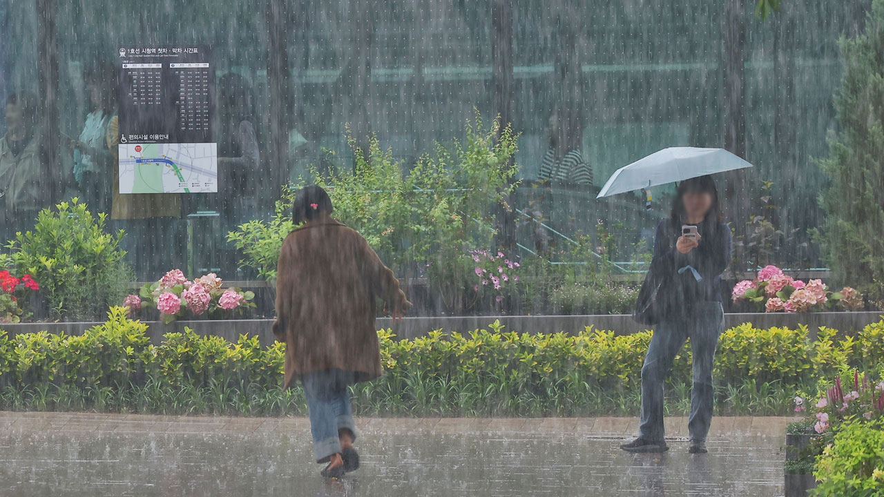 [날씨] 여름 문턱 '소만'‥흐리고 곳곳 소나기